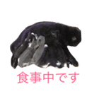 生まれたて子猫（個別スタンプ：3）