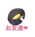 生まれたて子猫（個別スタンプ：13）