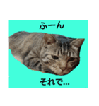 うちのななちゃん（個別スタンプ：7）