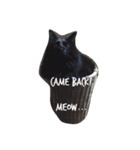 meow of two cats（個別スタンプ：2）