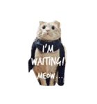 meow of two cats（個別スタンプ：6）