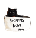 meow of two cats（個別スタンプ：8）