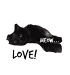 meow of two cats（個別スタンプ：9）