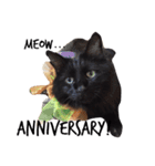 meow of two cats（個別スタンプ：15）