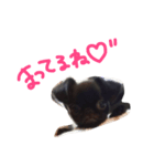 くま ver.1（個別スタンプ：2）