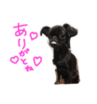 くま ver.1（個別スタンプ：5）