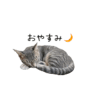 つくしとよもぎ1（個別スタンプ：2）