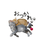つくしとよもぎ1（個別スタンプ：3）