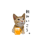 つくしとよもぎ1（個別スタンプ：4）