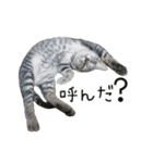 つくしとよもぎ1（個別スタンプ：5）