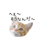 つくしとよもぎ1（個別スタンプ：10）