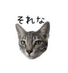 つくしとよもぎ1（個別スタンプ：13）