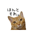 つくしとよもぎ1（個別スタンプ：14）