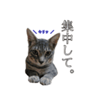 つくしとよもぎ1（個別スタンプ：15）