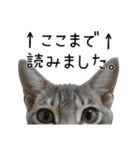 つくしとよもぎ1（個別スタンプ：19）