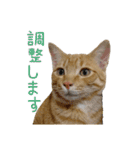 つくしとよもぎ1（個別スタンプ：20）