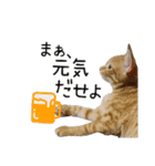 つくしとよもぎ1（個別スタンプ：24）