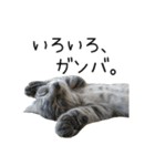つくしとよもぎ1（個別スタンプ：25）