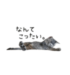 つくしとよもぎ1（個別スタンプ：27）