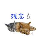 つくしとよもぎ1（個別スタンプ：29）