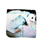 おはようニャン（個別スタンプ：7）