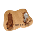 チップとソニア 2（個別スタンプ：16）
