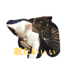 我が家の愉快な家族です（個別スタンプ：1）