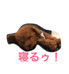 我が家の愉快な家族です（個別スタンプ：2）