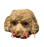 我が家の愉快な家族です（個別スタンプ：3）