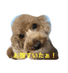 我が家の愉快な家族です（個別スタンプ：4）