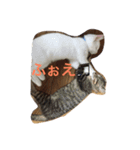 我が家の愉快な家族です（個別スタンプ：5）