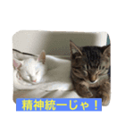 我が家の愉快な家族です（個別スタンプ：6）