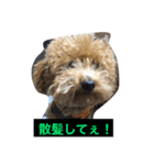 我が家の愉快な家族です（個別スタンプ：7）