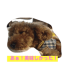 我が家の愉快な家族です（個別スタンプ：8）