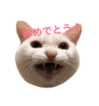 あめこっこ 2（個別スタンプ：10）