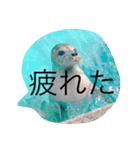 HITOKOTODEES（個別スタンプ：5）
