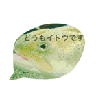 HITOKOTODEES（個別スタンプ：7）