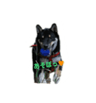 日常使える言葉（個別スタンプ：3）