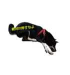日常使える言葉（個別スタンプ：5）