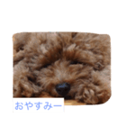 かわいいミミ（個別スタンプ：5）