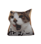 デブ猫はるちゃん（個別スタンプ：15）
