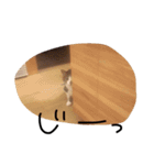 デブ猫はるちゃん（個別スタンプ：23）