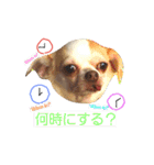 ベロ犬ジャギさん（個別スタンプ：18）
