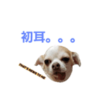 ベロ犬ジャギさん（個別スタンプ：22）