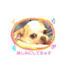 ベロ犬ジャギさん（個別スタンプ：24）