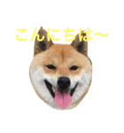 mukku325-3（個別スタンプ：4）