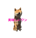 mukku325-3（個別スタンプ：7）