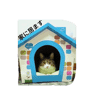 ロンのこころ（個別スタンプ：1）