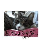 ロンのこころ（個別スタンプ：4）