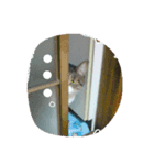 ロンのこころ（個別スタンプ：7）